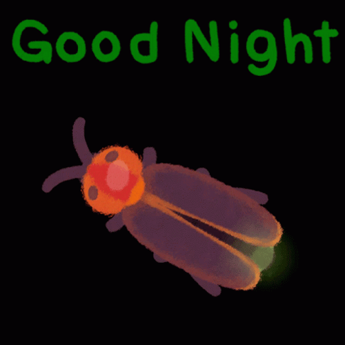 Animated Firefly Good Night Sleep GIF