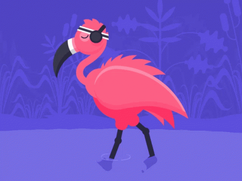 Animated Flamingo Vibing GIF