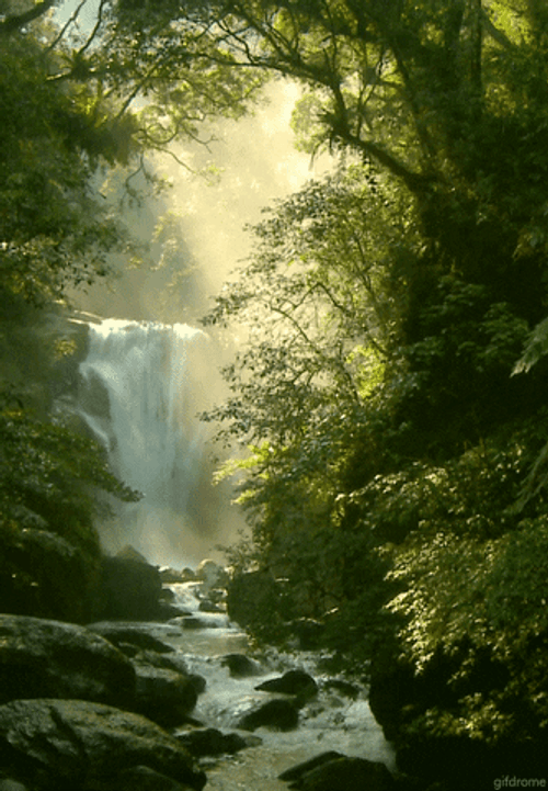 Animated Forest Waterfalls GIF
