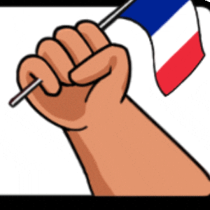 Animated France Hand Flag Waving GIF
