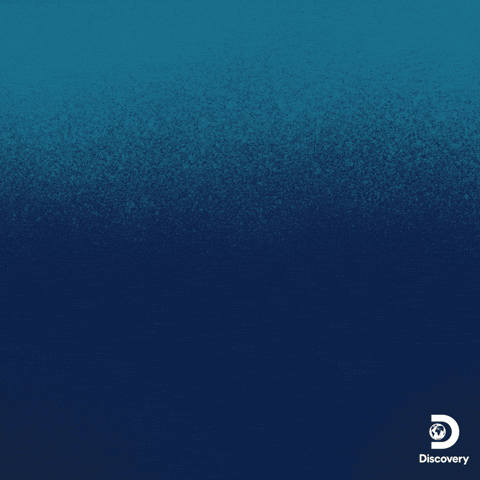 Animated Goblin Shark Saying Hey GIF