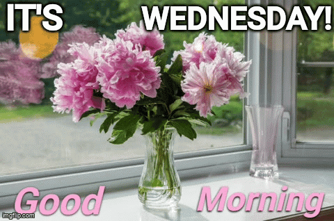 Animated Good Morning Wednesday Flowers In Vase GIF