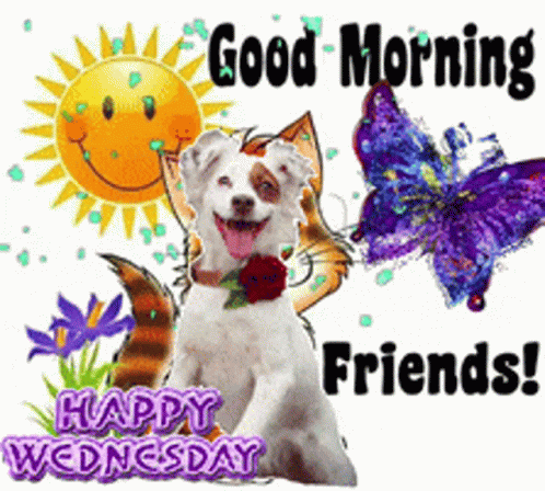 Animated Good Morning Wednesday Smiling Dog Blue Butterflies GIF