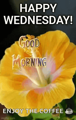 Animated Good Morning Wednesday Yellow Flower GIF