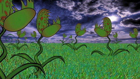 Animated Group Of Venus Fly Trap Chasing Bees GIF