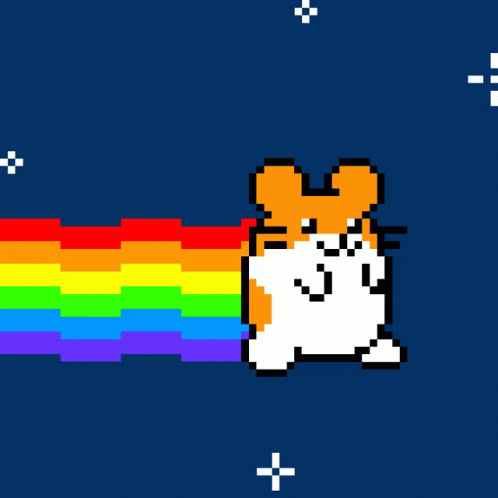 Animated Hampter Meme Jumping Rainbow GIF