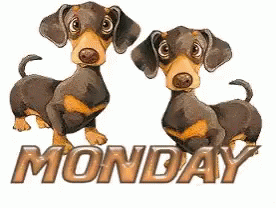 Animated Happy Monday Dachshund Wagging Tale GIF