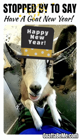 Animated Happy New Year Text On Dog's Head GIF