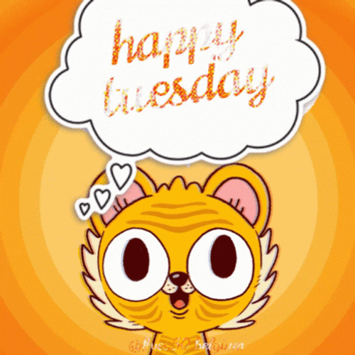 Animated Happy Tuesday Sticker Cat Thinking GIF 