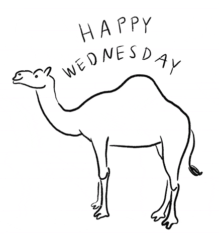 Animated Happy Wednesday Drawing Camel GIF