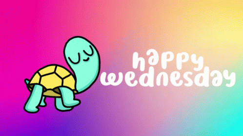 Animated Happy Wednesday Frog GIF