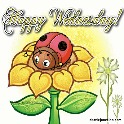 Animated Happy Wednesday Ladybug Bee And Sunflower GIF