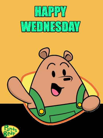 Animated Happy Wednesday Pants Bear Sticker GIF