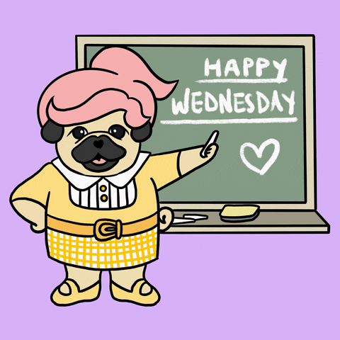 Animated Happy Wednesday Teacher Pug GIF