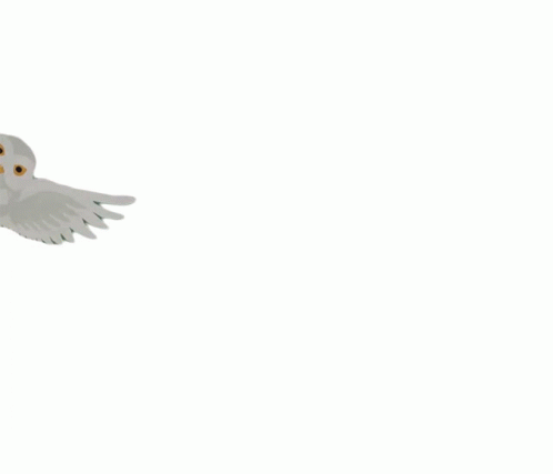 Animated Hedwig Landing GIF