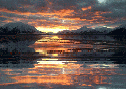 Animated Image Aesthetic Sunset Water GIF