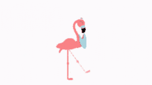 Animated Jumping Flamingo GIF