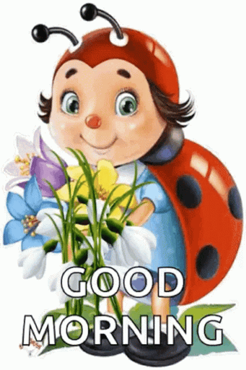 Animated Lady Bug Happy Good Morning GIF