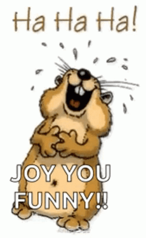Animated Laughing Chipmunk You're Funny GIF