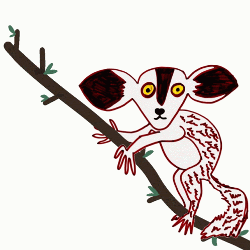 Animated Lemur Aye Aye GIF