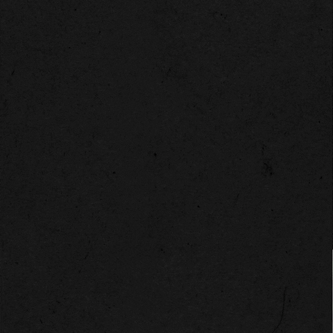 Animated Logo Mtvu Everything College GIF