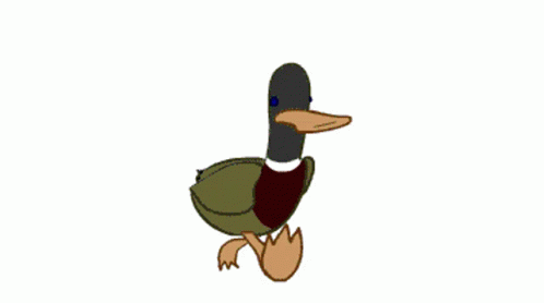 Animated Mallard Duck Waddle GIF