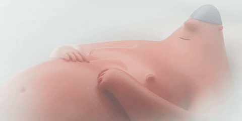 Animated Man Enjoys Caressing His Chest GIF