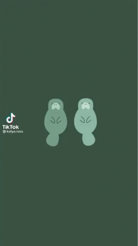 Animated Manatee Dancing Tiktok GIF