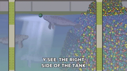 Animated Manatee Swimming With Idea Balls GIF