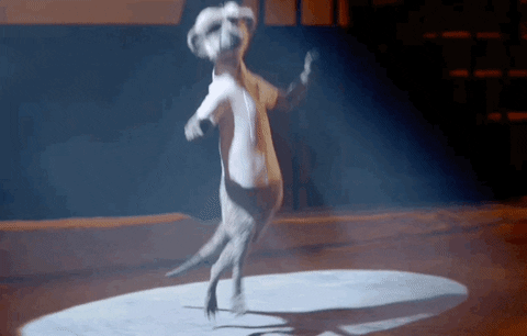 Animated Meerkat Happy Dance GIF