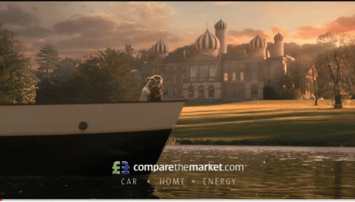 Animated Meerkats Enjoying Dinner GIF
