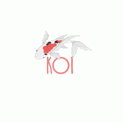 Animated Minimalist Koi Fish Swimming Around GIF
