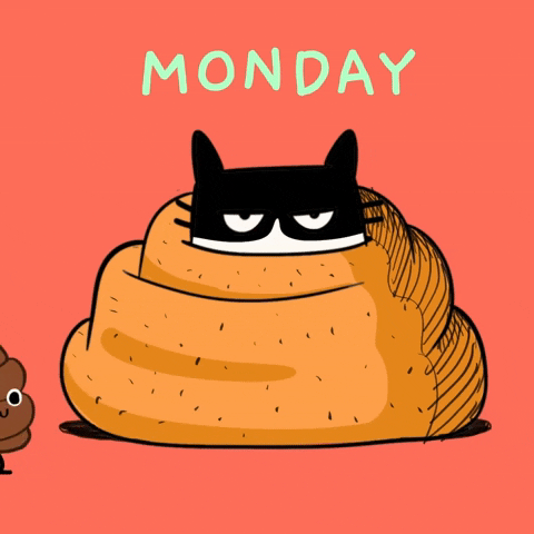 Animated Monday Cozy Grumpy Black Cat GIF