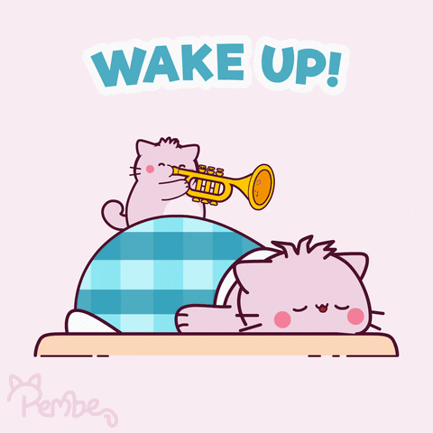 Animated Monday Sleeping Cat Awoken By Trumpet GIF