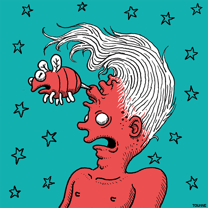 Animated Mosquito Eyestrain GIF