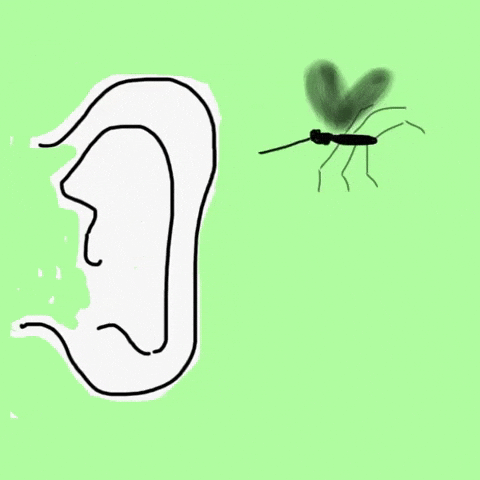 Animated Mosquito Whisper GIF