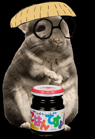Animated Multiple Chinchilla With Jam GIF