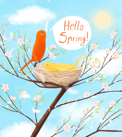 Animated Orange Bird Hello Spring Happy Spring GIF