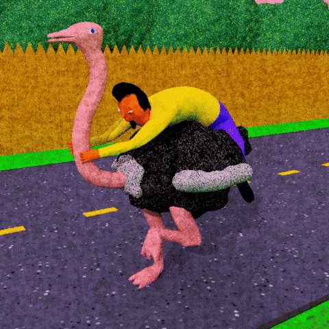 Animated Ostrich Ride Roundtrip GIF