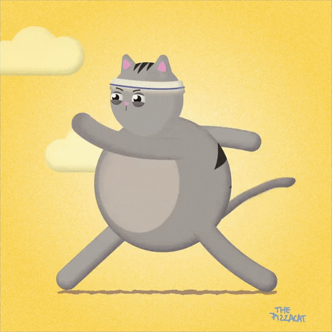 Animated Overweight Cat Jogging GIF
