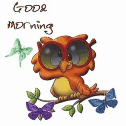 Animated Owl Dizzy Good Morning GIF