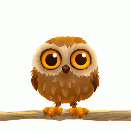 Animated Owl Have Wonderful Day GIF