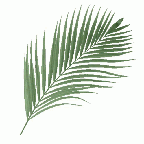 Animated Palm Leaf Swaying GIF