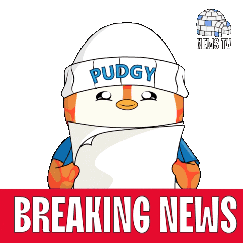 Animated Penguin Breaking News Reporter GIF