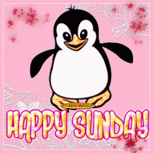 Animated Penguin Happy Sunday Image GIF