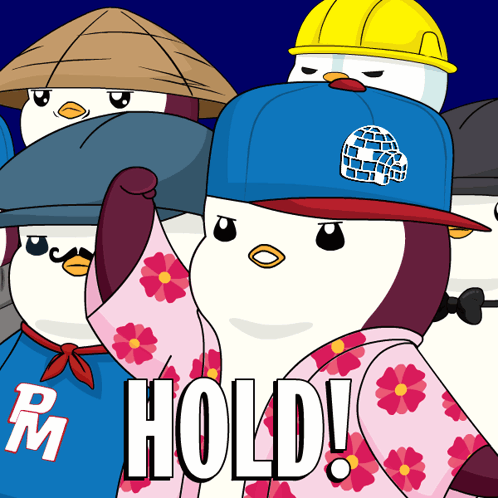 Animated Penguin Hold GIF