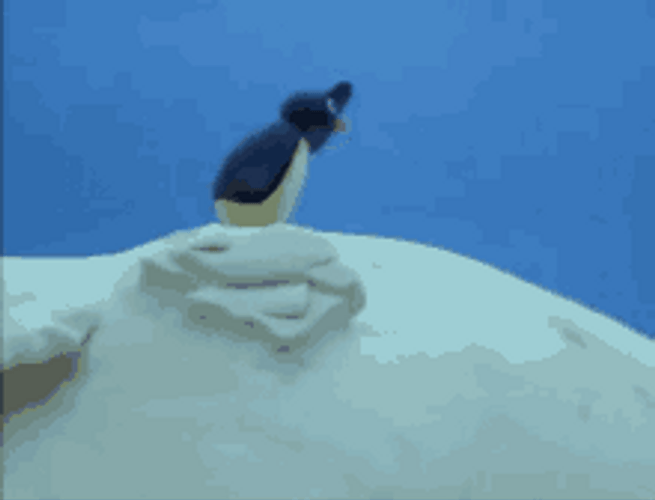 Animated Penguin Searching On Top Of Hill GIF