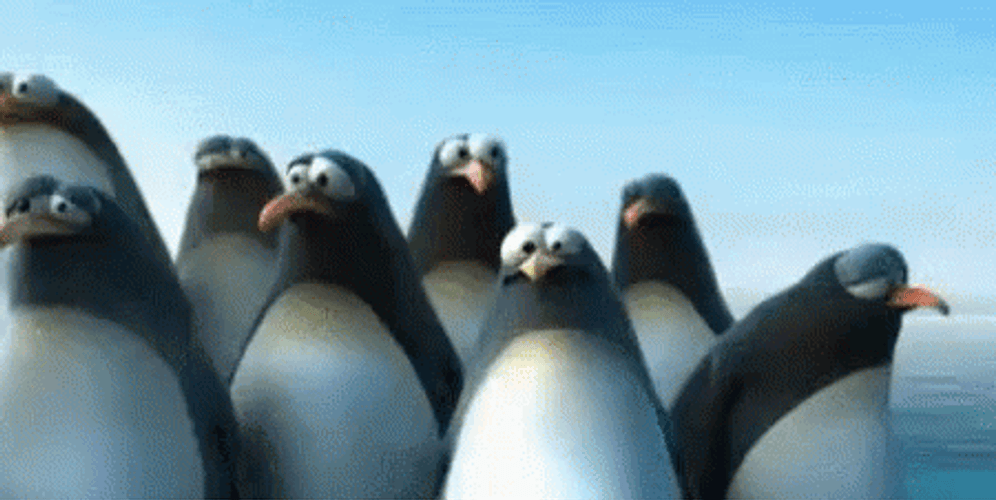 Animated Penguins On Floating Ice Doing Team Work GIF