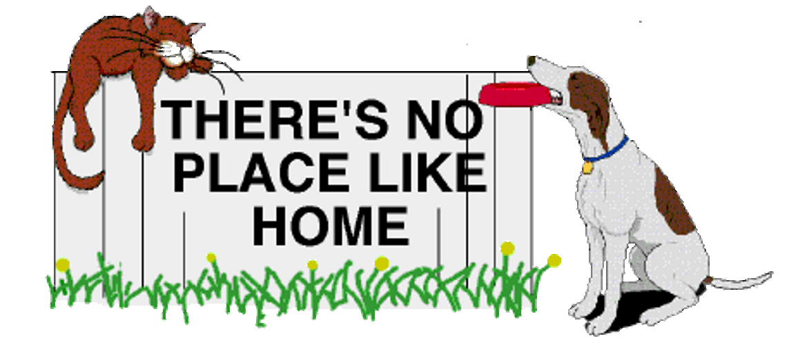Animated Pets Theres No Place Like Home GIF