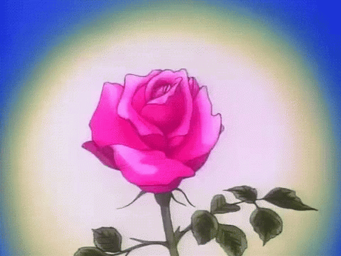 Animated Pink Blossoming Flower GIF